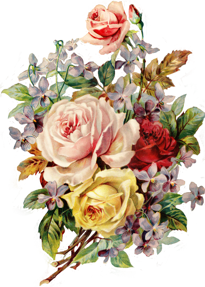 Vintage Floral Bouquet Illustration PNG image