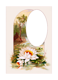 Vintage Floral Framewith Water Lily PNG image