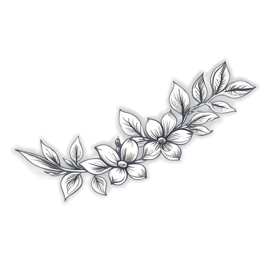 Vintage Flower Sketch Png 06272024 PNG image