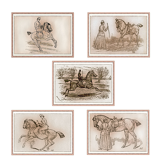 Vintage Horse Illustrations Collage PNG image