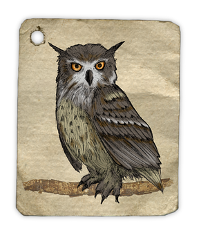 Vintage Owl Illustration PNG image