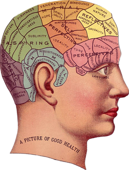 Vintage Phrenology Head Illustration PNG image