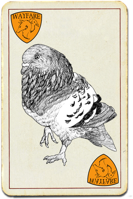 Vintage Pigeon Illustration Card PNG image