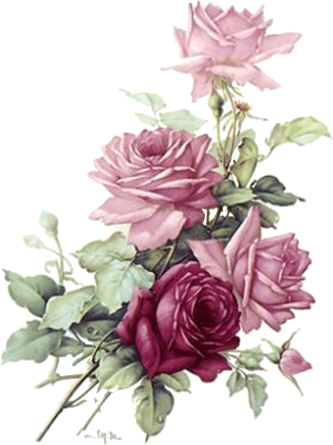 Vintage Pink Roses Bouquet PNG image