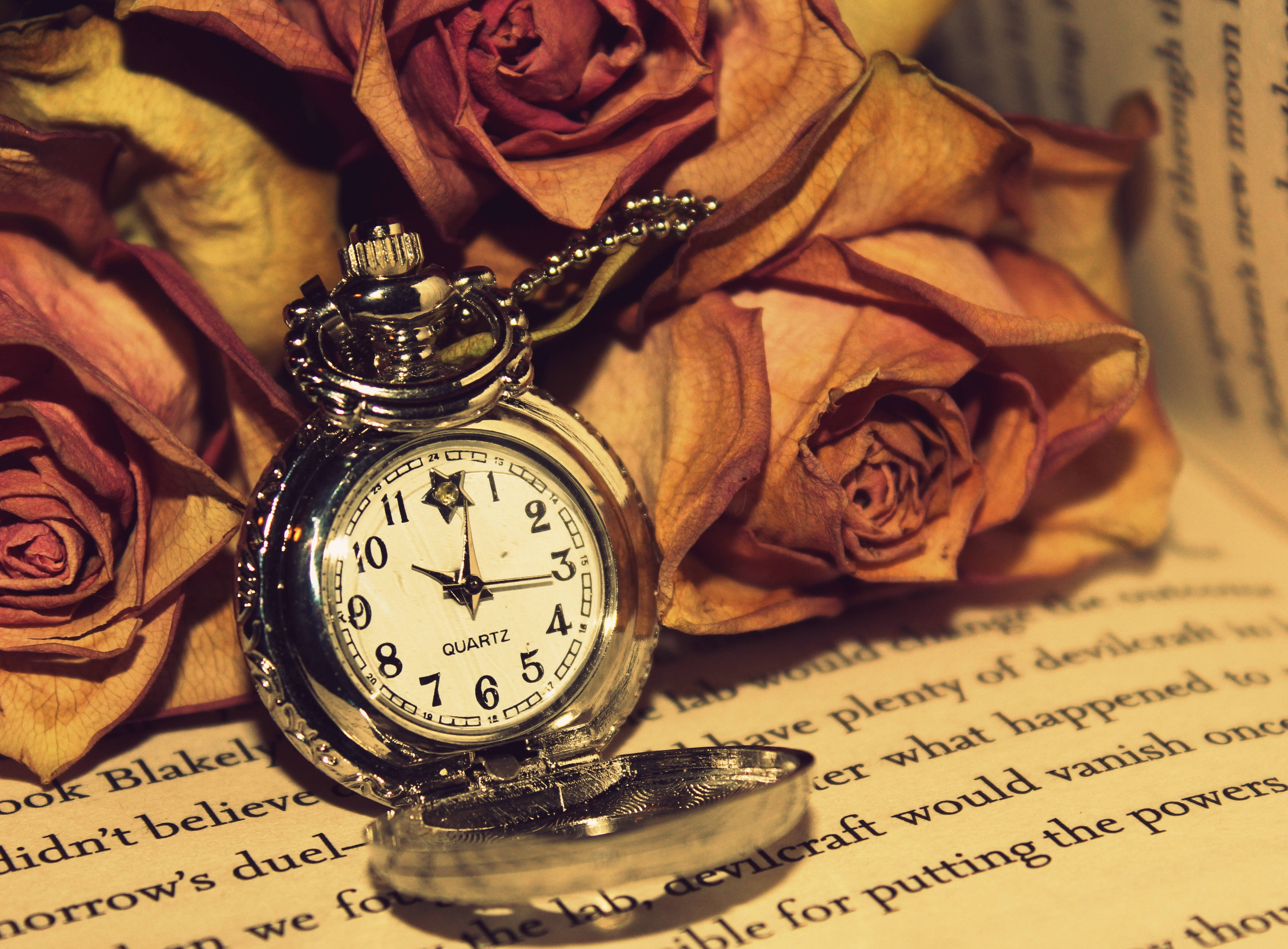 Vintage Pocket Watchand Dried Roses PNG image