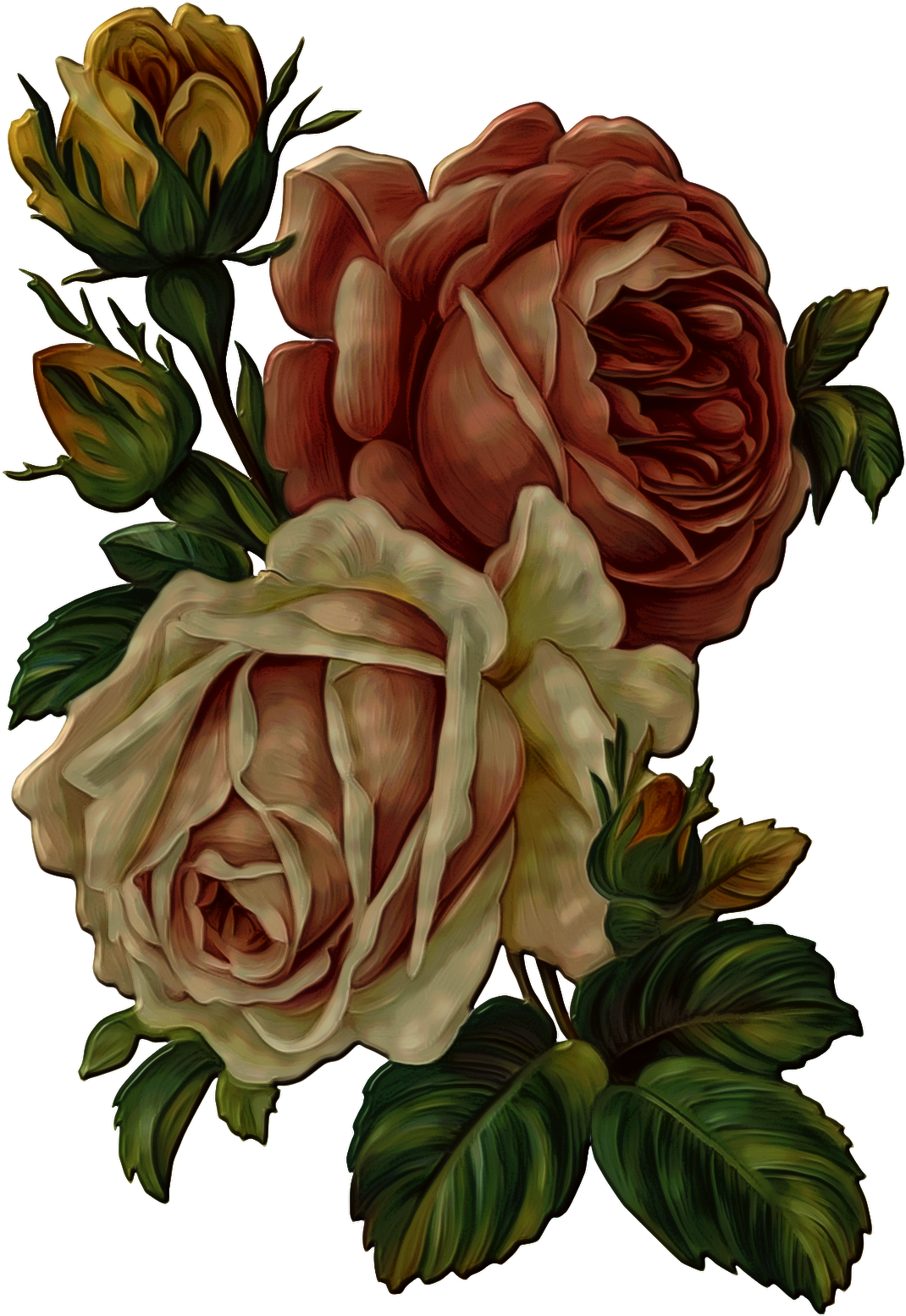 Vintage Rose Bouquet Illustration PNG image