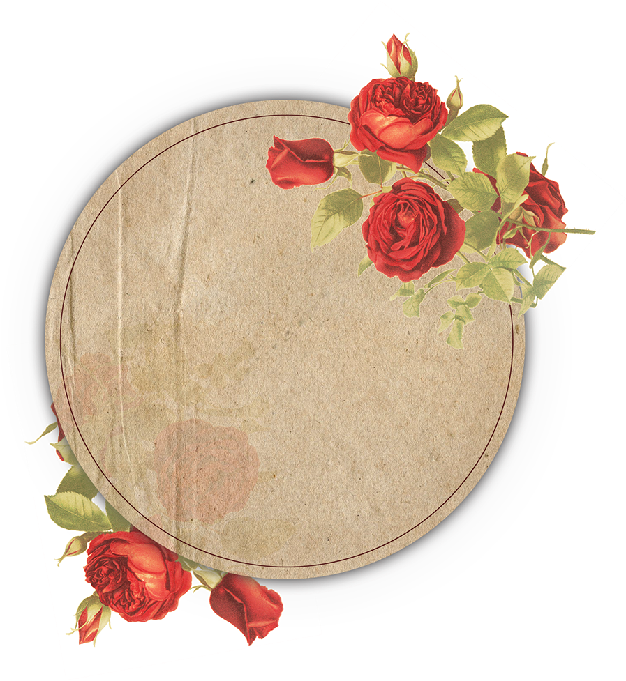 Vintage Rose Decorated Frame PNG image