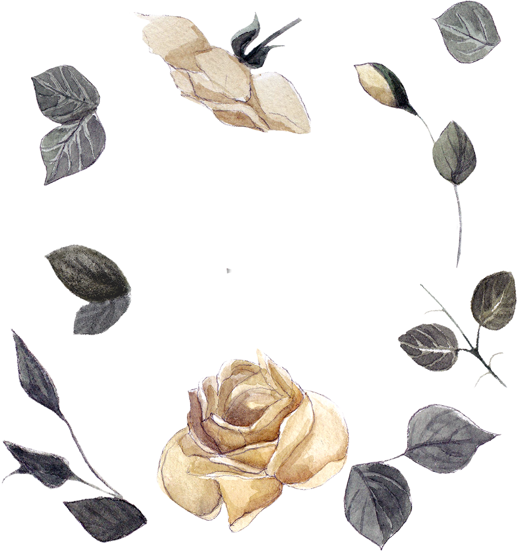 Vintage Rose Sketch Design PNG image
