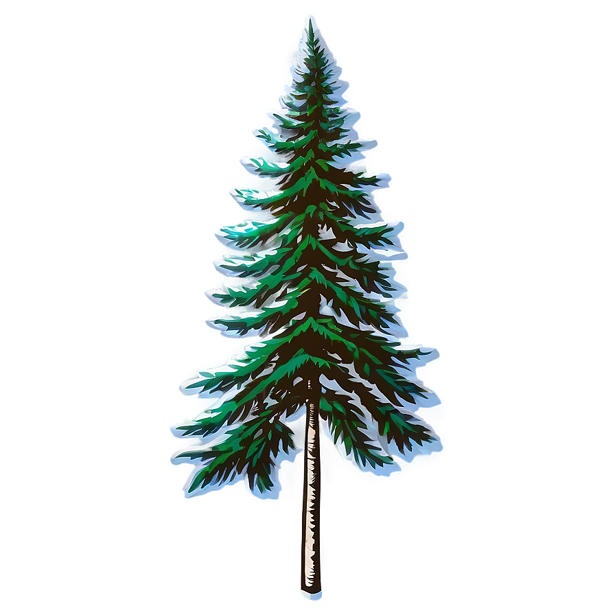 Vintage Spruce Tree Engraving Png 36 PNG image