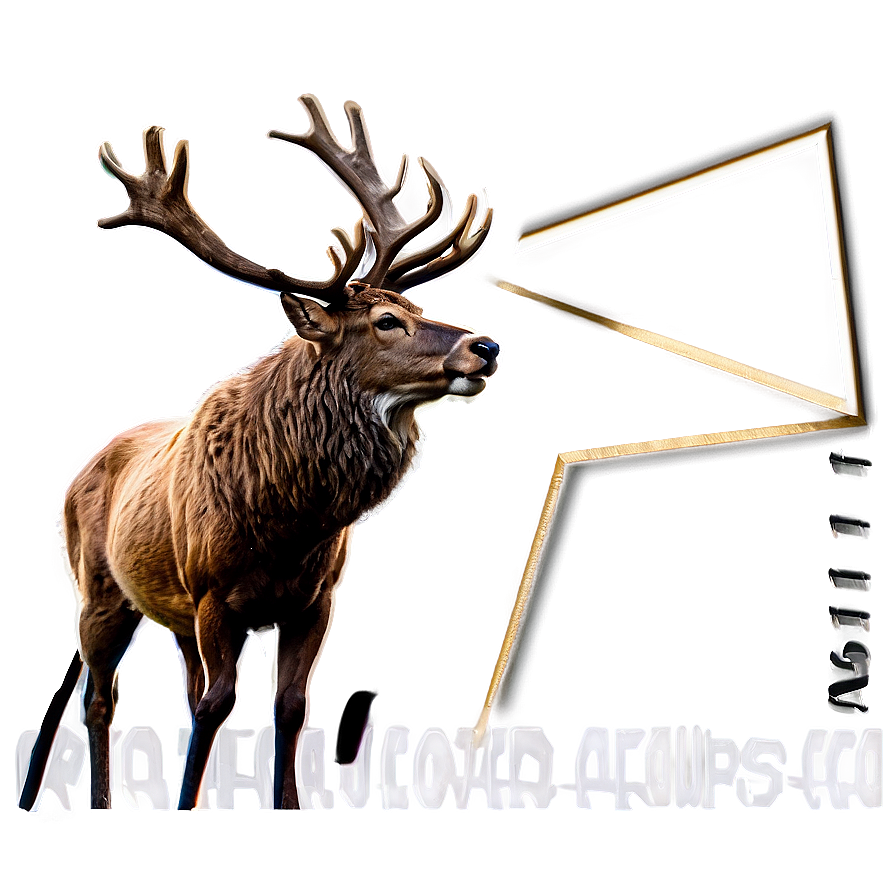 Vintage Stag Drawing Png 5 PNG image