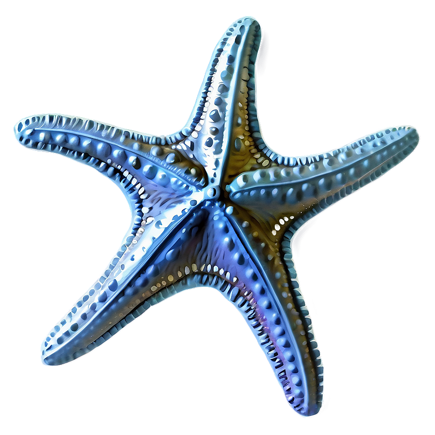 Vintage Starfish Sketch Png 7 PNG image