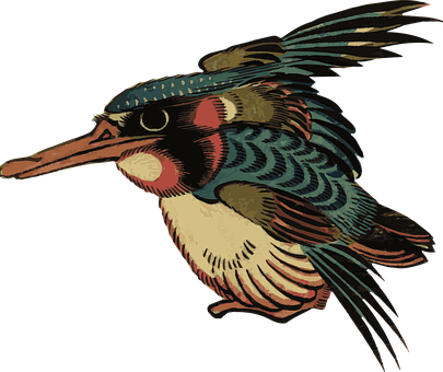 Vintage Styled Kingfisher Illustration PNG image