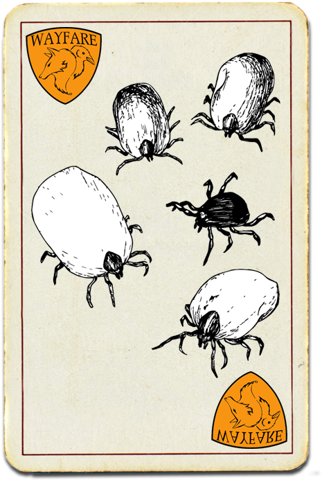 Vintage Tick Illustration Card PNG image