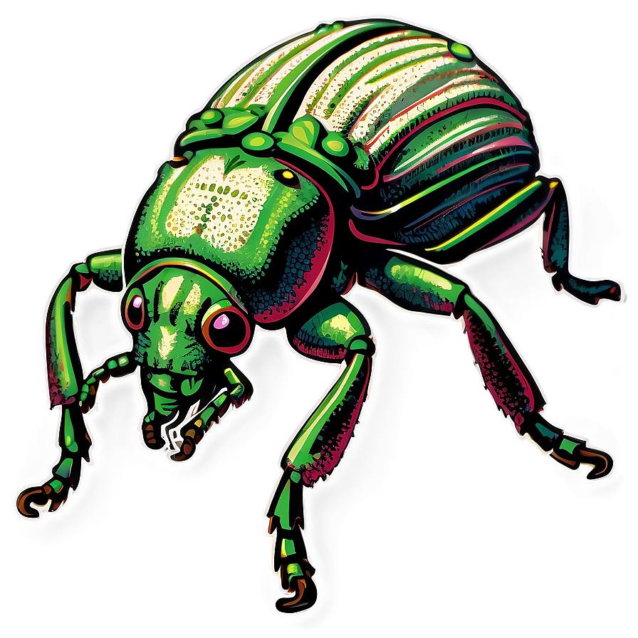 Vintage Weevil Illustration Png 95 PNG image