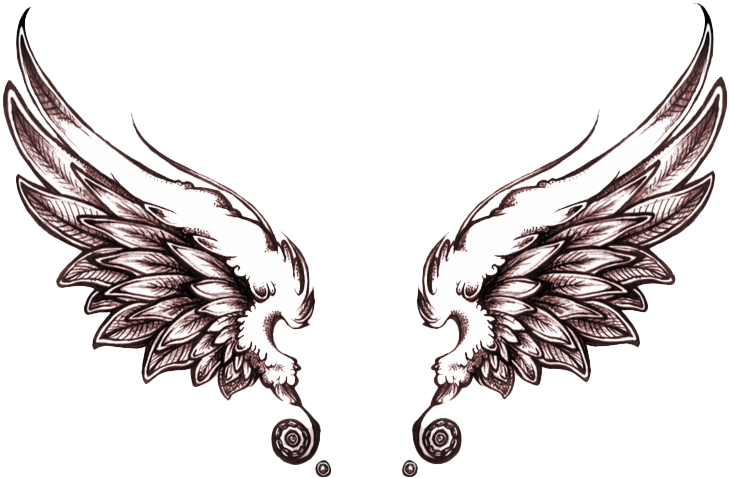 Vintage Winged Eagle Emblem PNG image