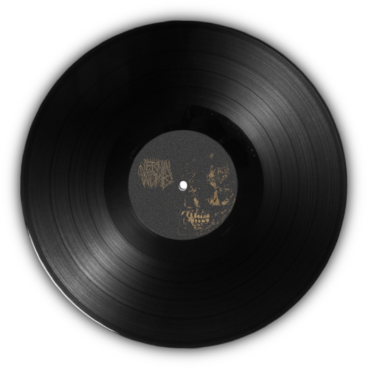 Vinyl_ Record_ Womb_ Label PNG image