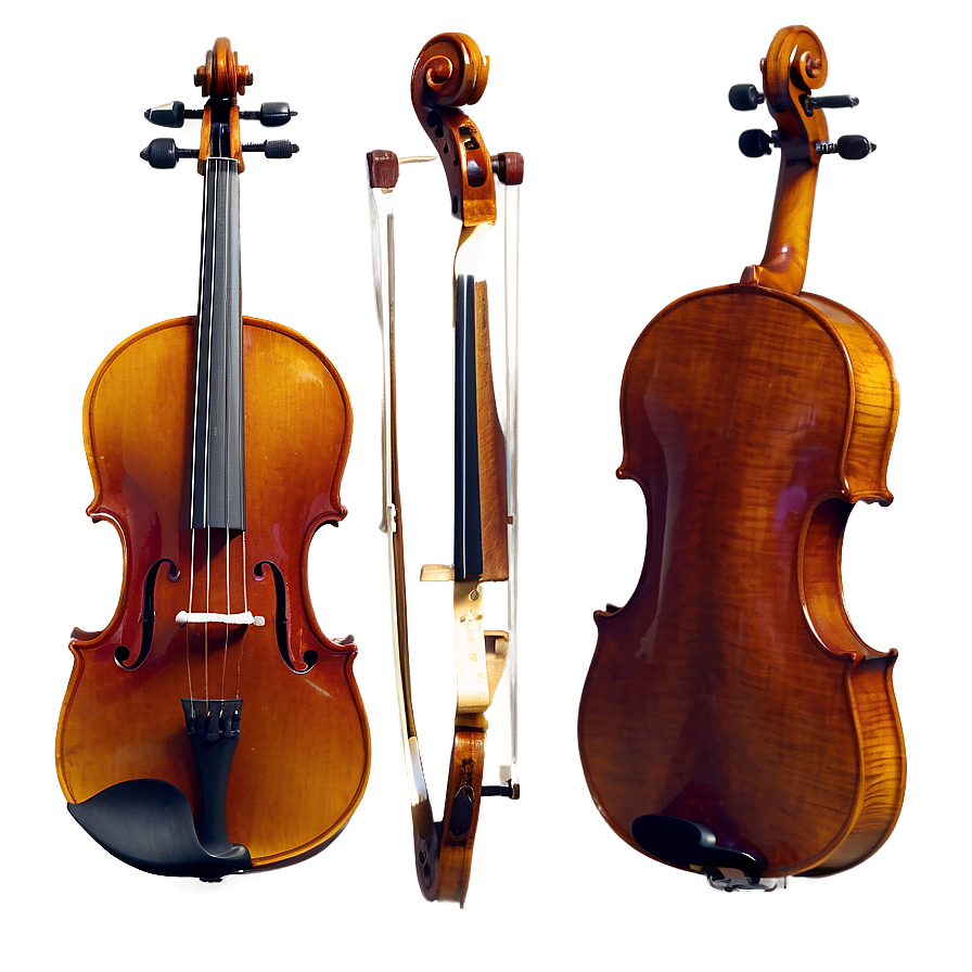 Viola D PNG image