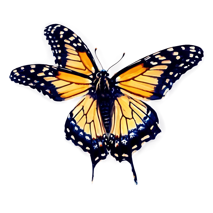 Violet Monarch Butterfly Png Gpq92 PNG image