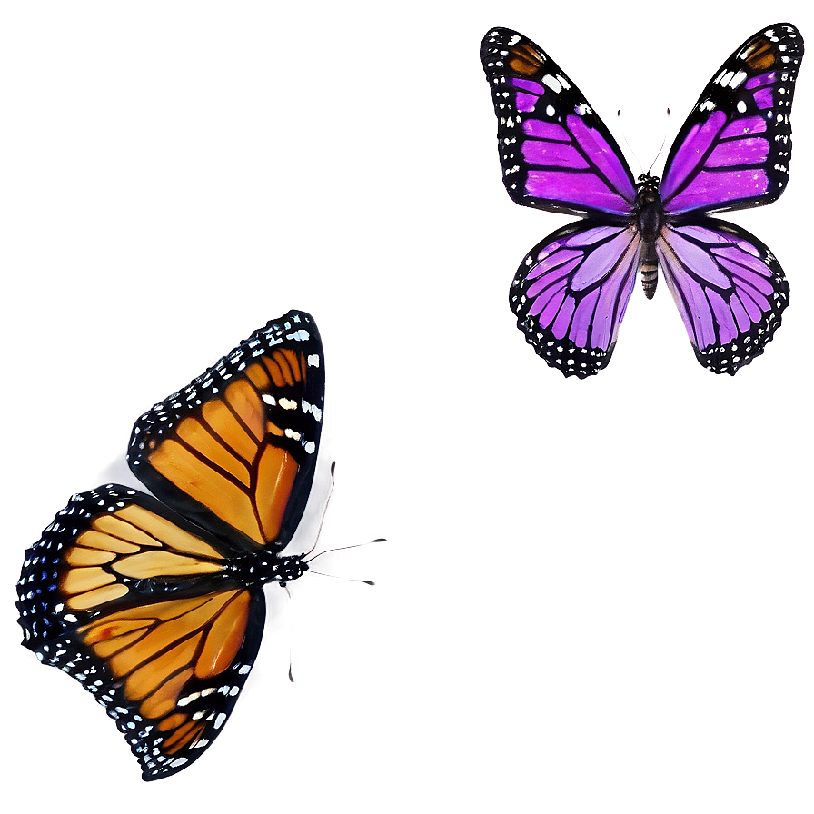 Violet Monarch Butterfly Png Pss PNG image