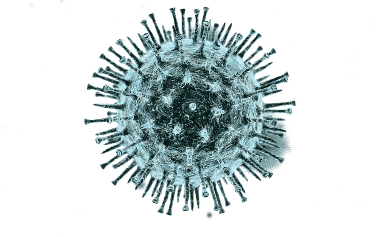Virus Particle Illustration PNG image