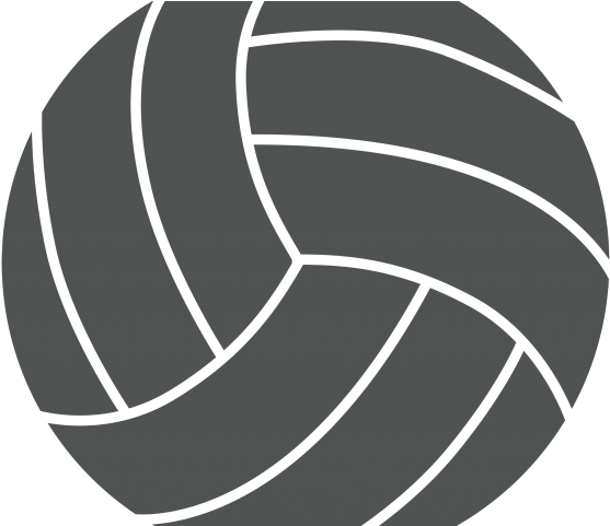 Volleyball Logo Graphic PNG image