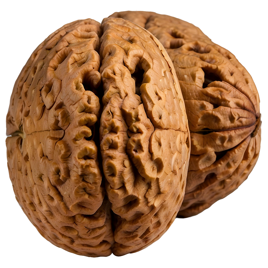 Walnut C PNG image