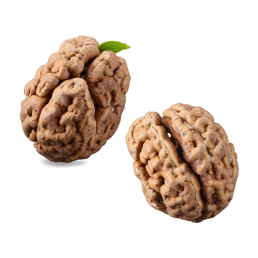 Walnut Cluster Png 68 PNG image