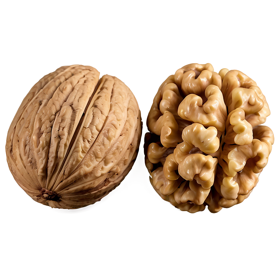 Walnut Kernel Png 06122024 PNG image