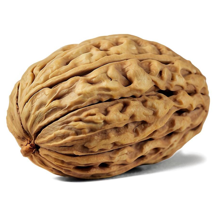 Walnut Kernel Png 06122024 PNG image