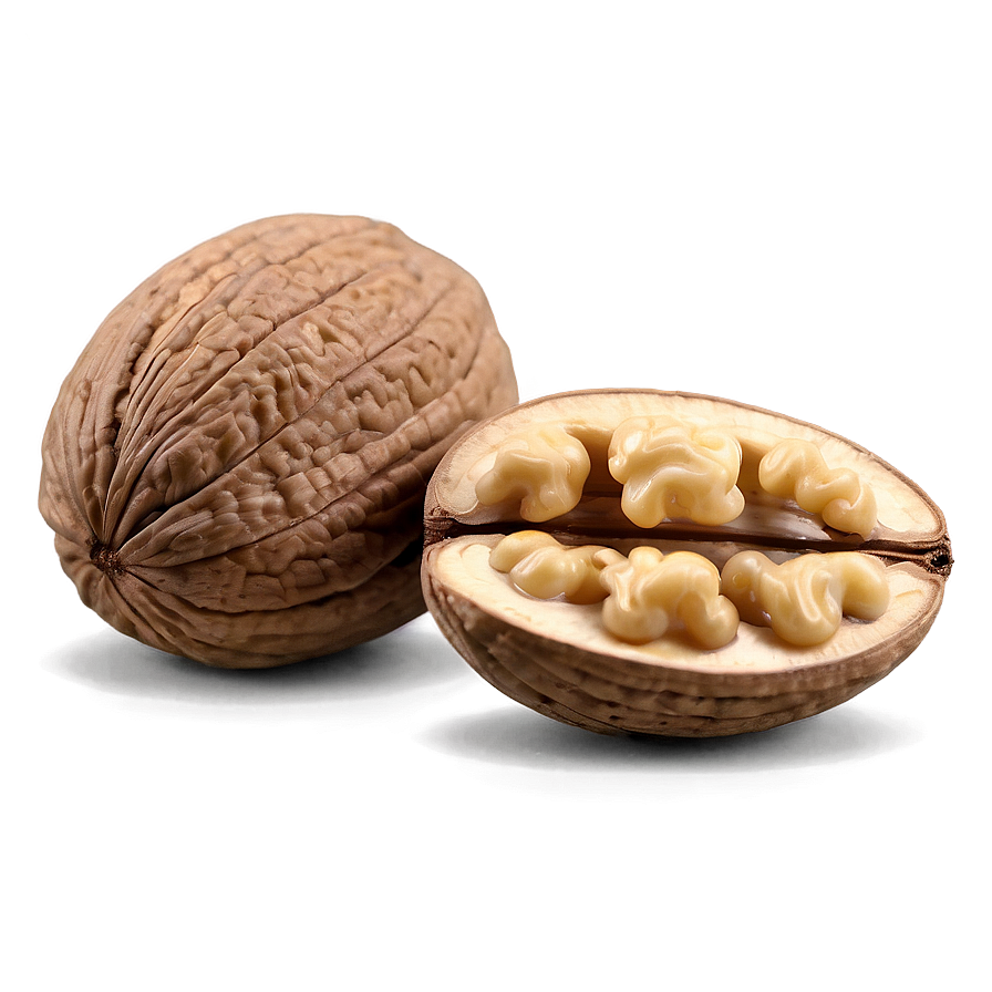 Walnut Kernel Png Wyn PNG image