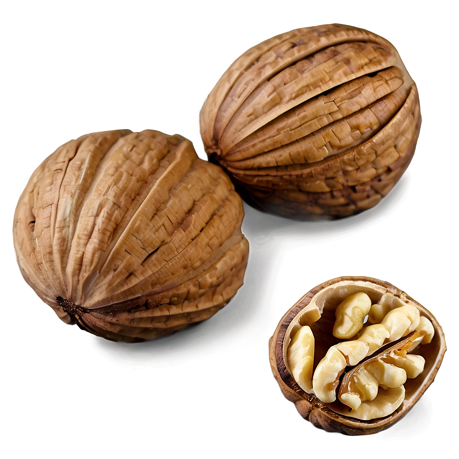 Walnut Piece Png 9 PNG image