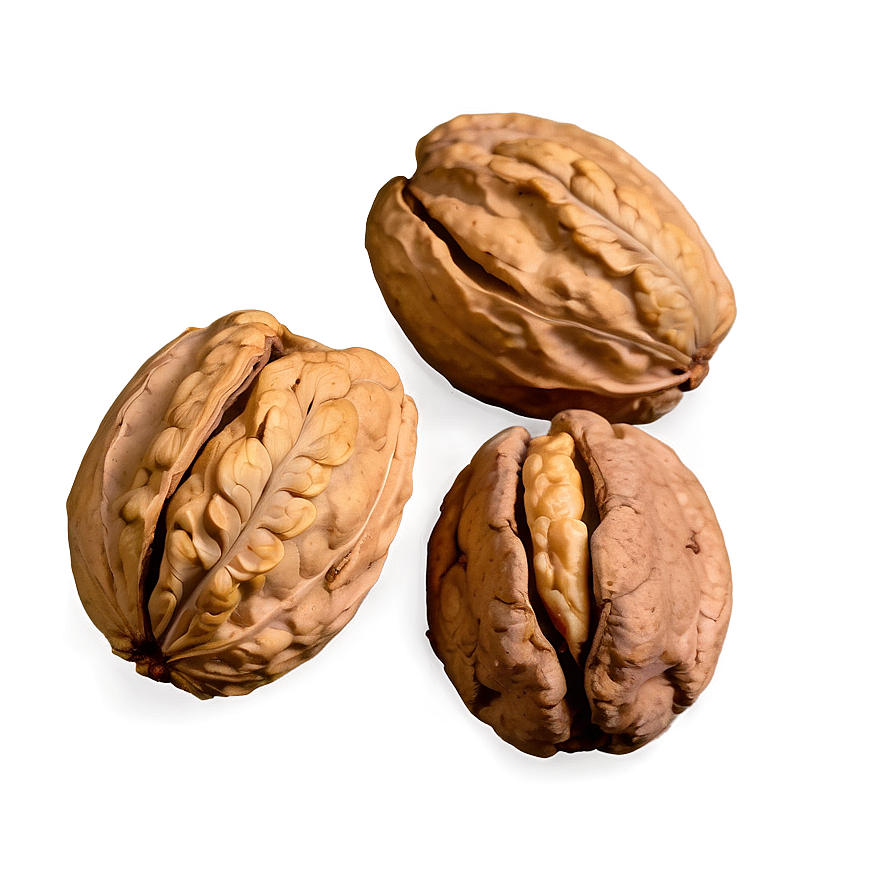 Walnut Png 06122024 PNG image