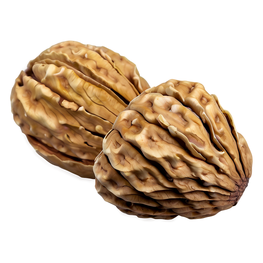 Walnut Shell Png 06122024 PNG image