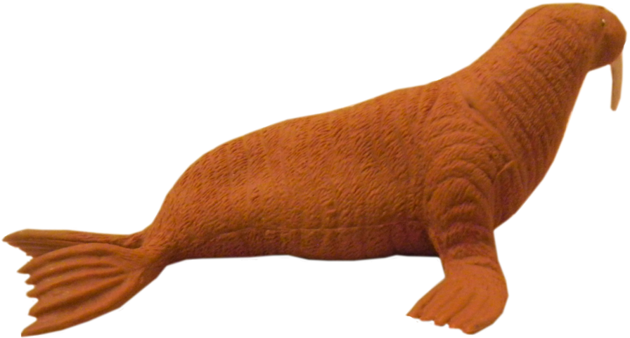 Walrus Figurine Isolated PNG image