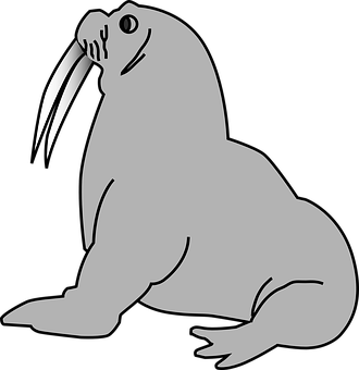 Walrus Vector Illustration PNG image