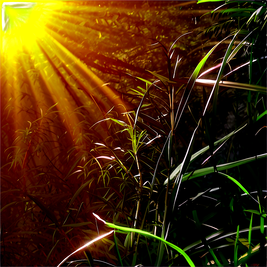 Warm Sun Rays Png Veo85 PNG image