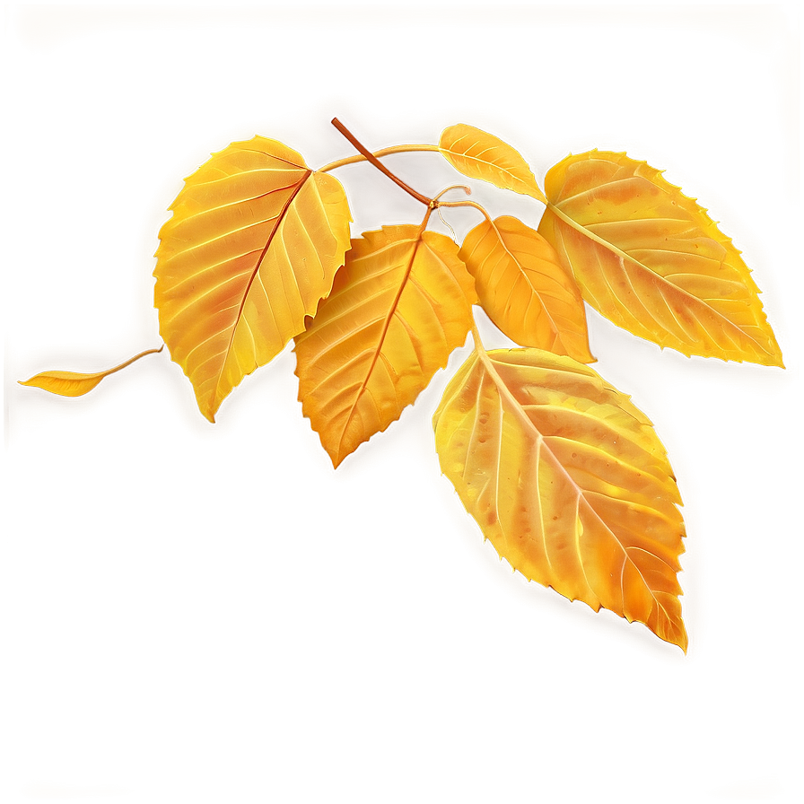 Warm Yellow Autumn Leaves Png Gdq33 PNG image