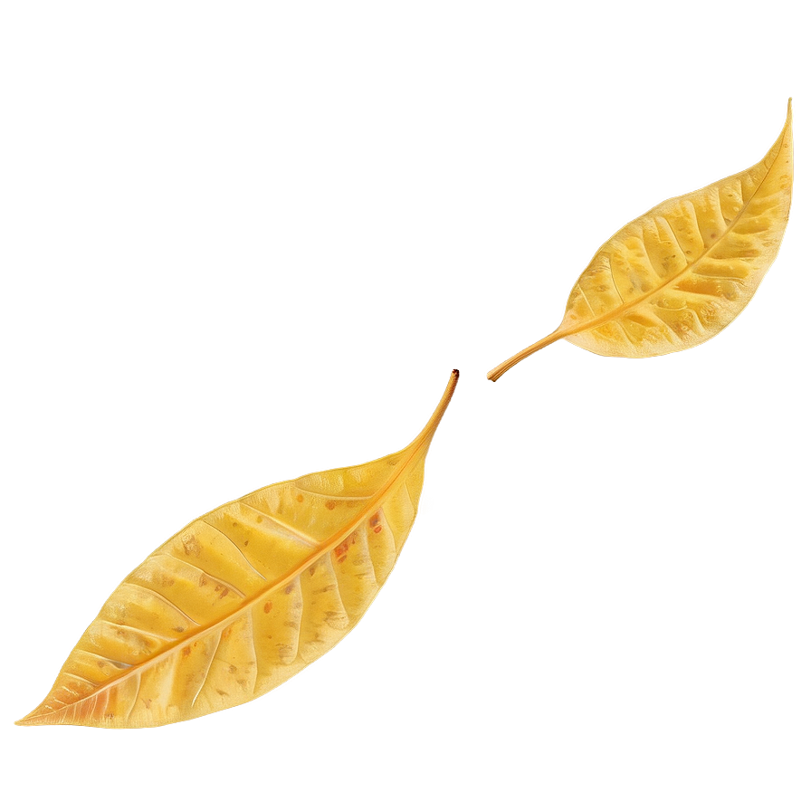 Warm Yellow Autumn Leaves Png Gpg3 PNG image
