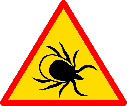 Warning Sign Black Spider Triangle PNG image