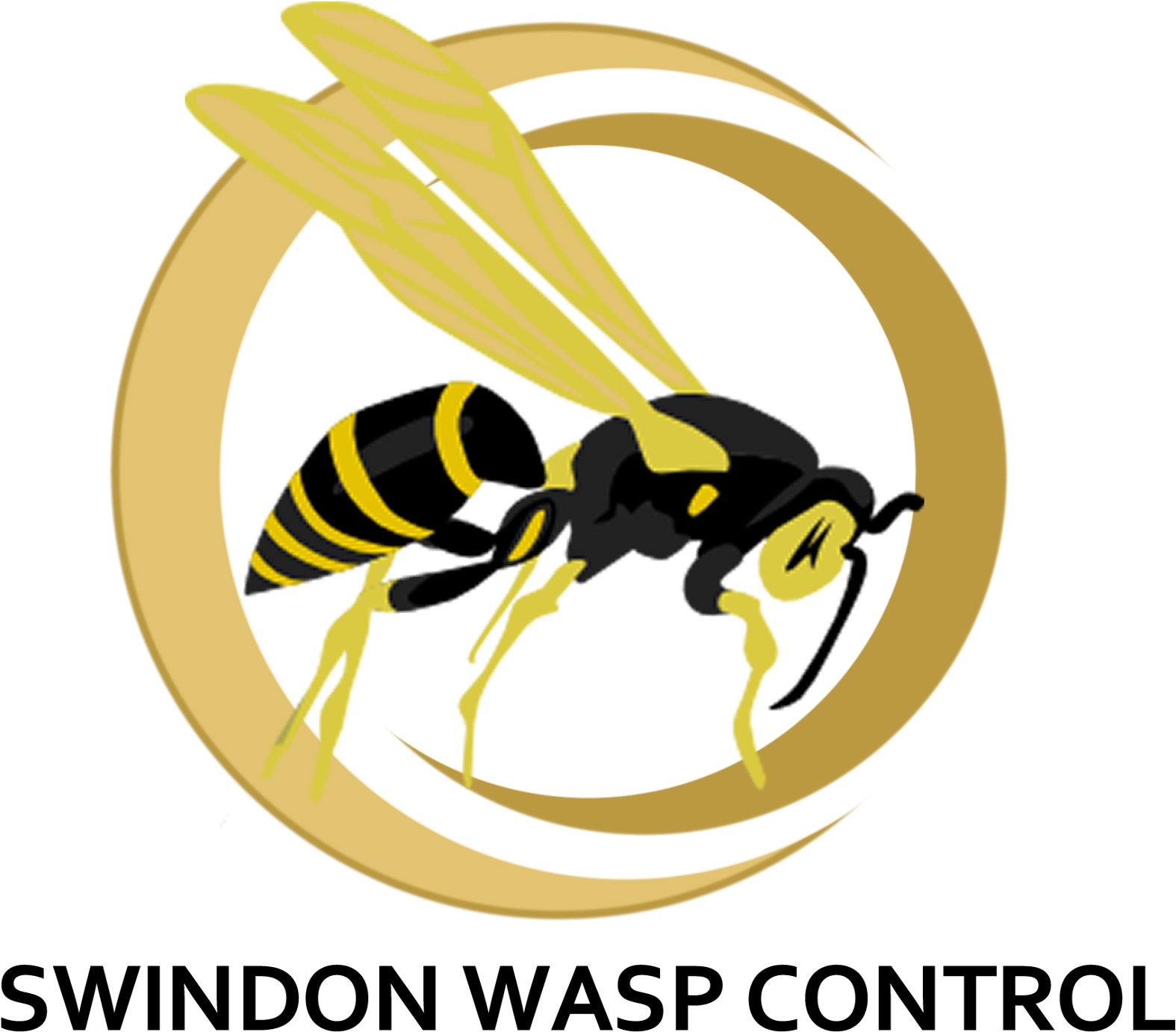 Wasp_ Control_ Service_ Logo PNG image