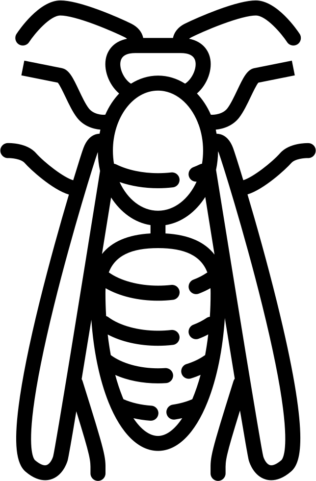 Wasp Icon Outline PNG image