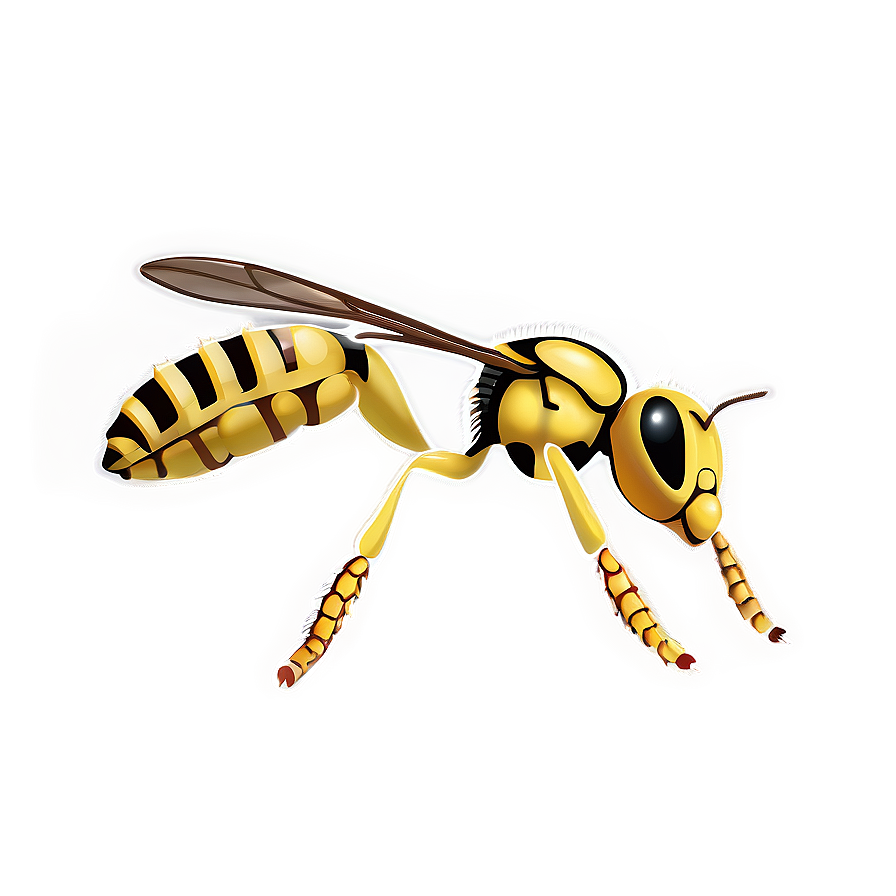 Wasp Vector Art Png 05242024 PNG image