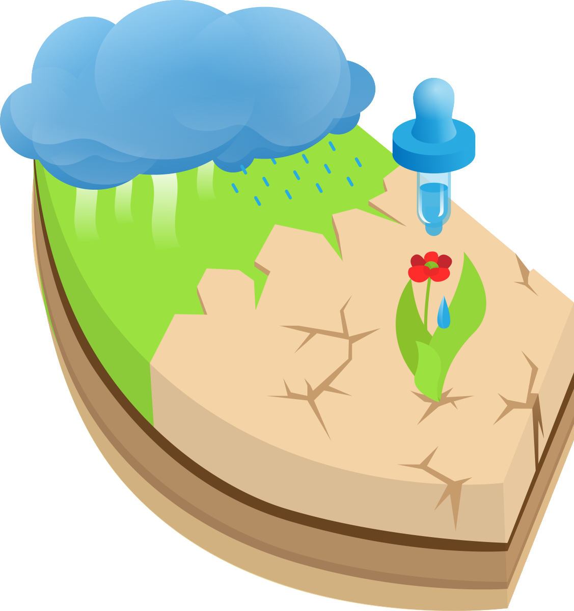 Water_ Cycle_and_ Plant_ Growth_ Illustration PNG image