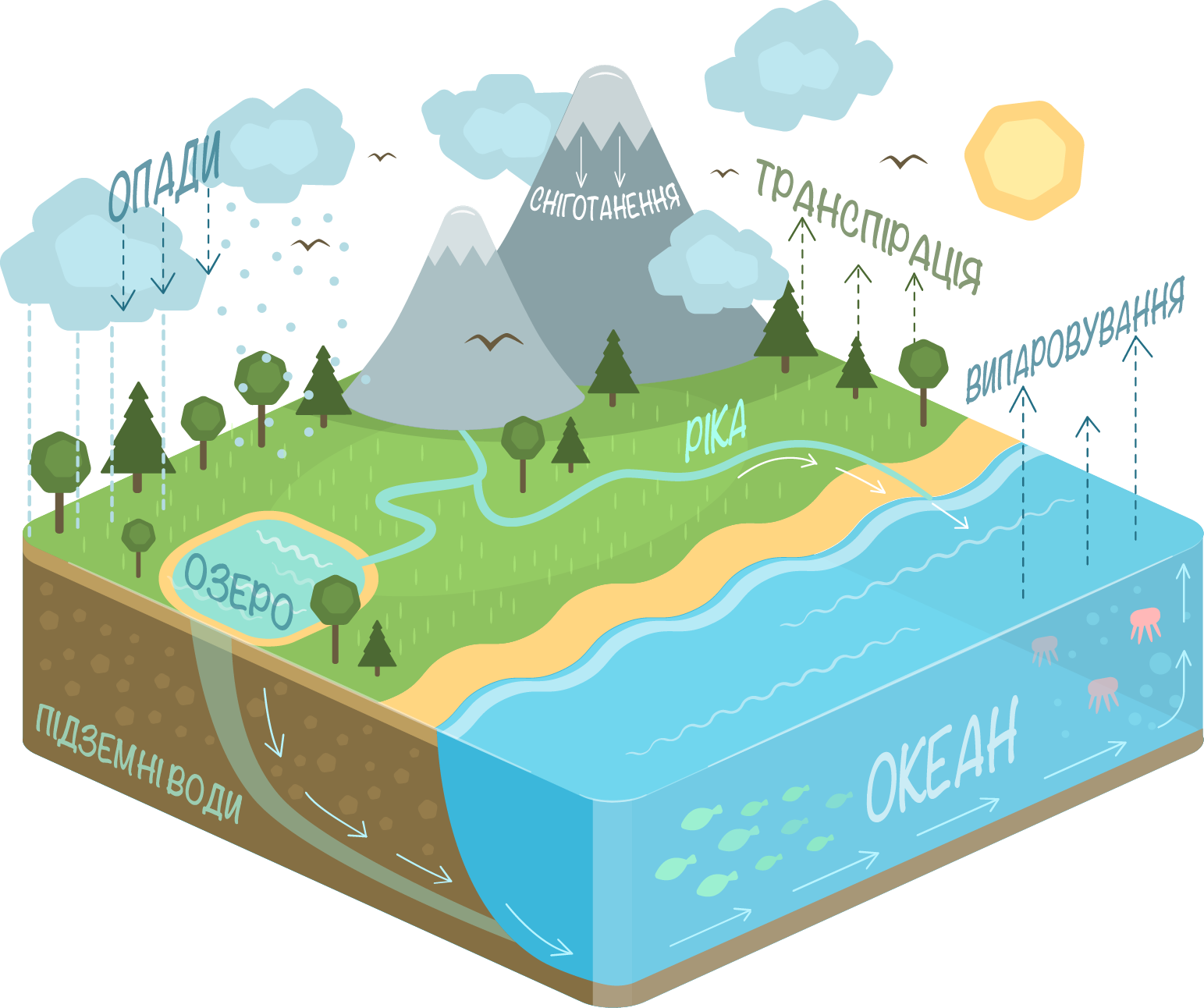 Water_ Cycle_ Illustration PNG image