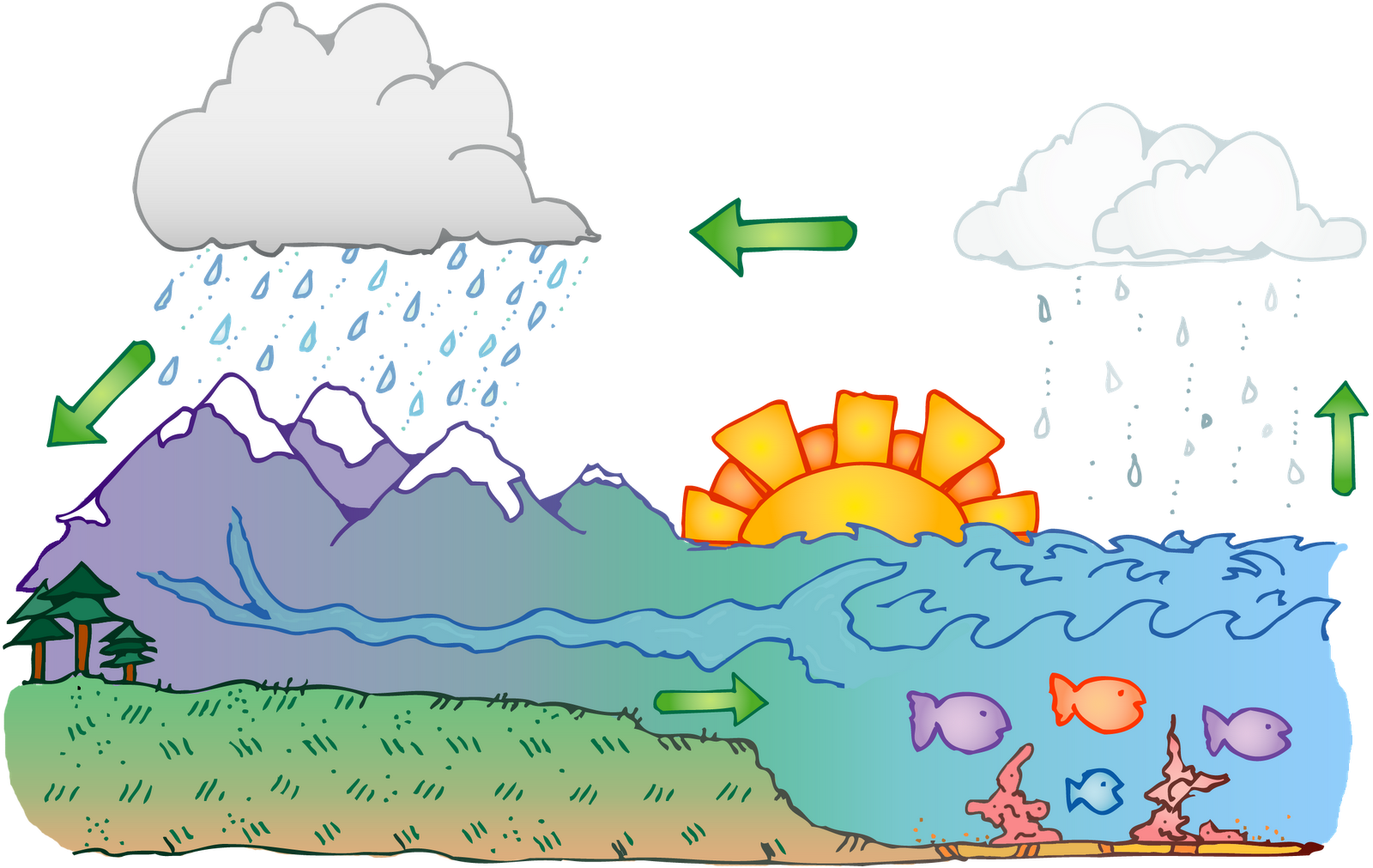 Water_ Cycle_ Illustration.png PNG image