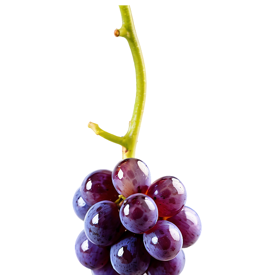 Water Droplet On Grape Png Eey PNG image