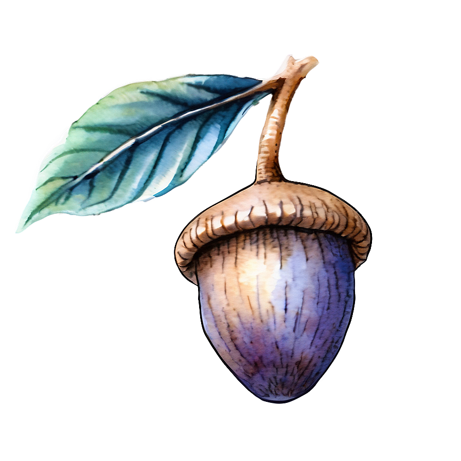 Watercolor Acorn Art Png 05252024 PNG image