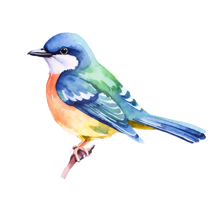 Watercolor Bird Illustration Png 05032024 PNG image