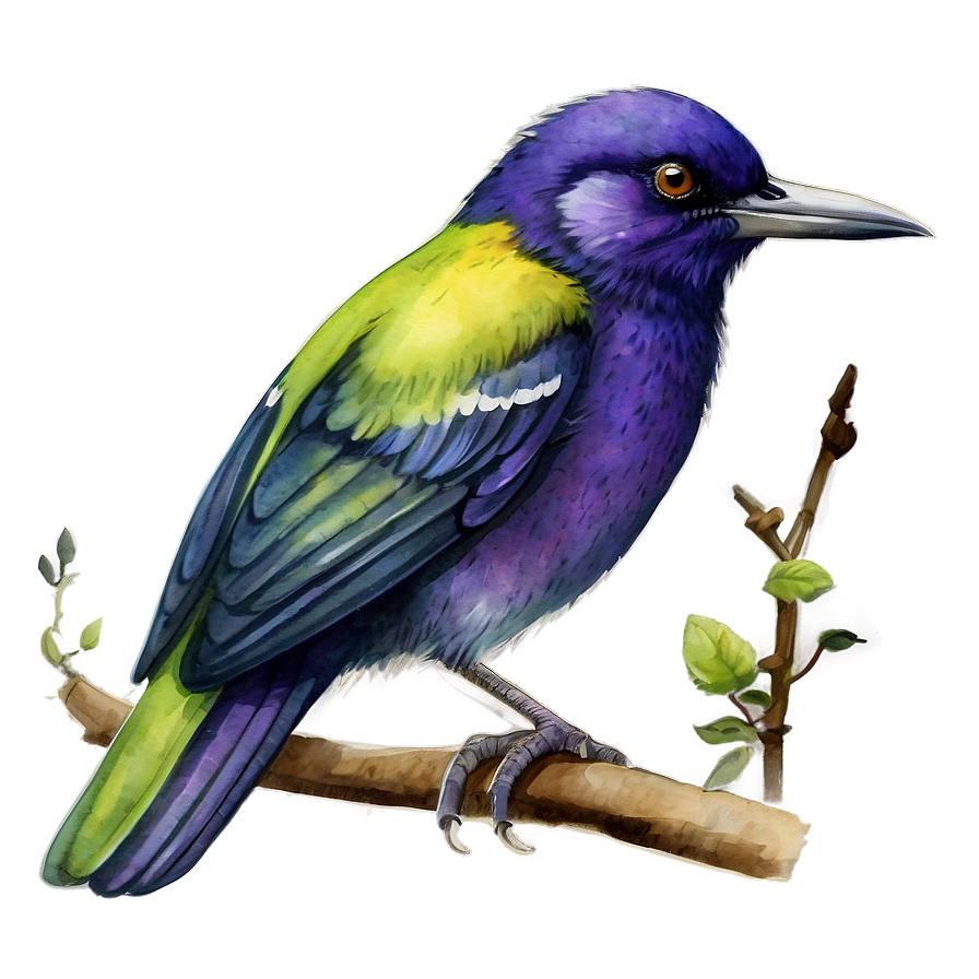 Watercolor Bird Illustration Png Wxv PNG image