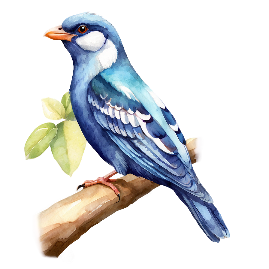 Watercolor Bird Species Png Vqm PNG image